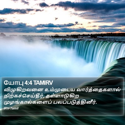 யோபு 4:4 TAMIRV Bible Verse Image