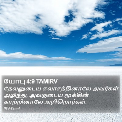 யோபு 4:9 TAMIRV Bible Verse Image