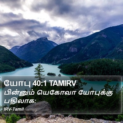 யோபு 40:1 TAMIRV Bible Verse Image