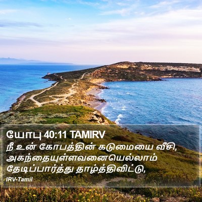 யோபு 40:11 TAMIRV Bible Verse Image