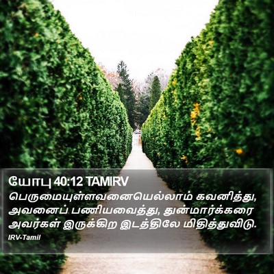 யோபு 40:12 TAMIRV Bible Verse Image