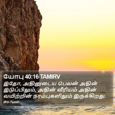 யோபு 40:16 TAMIRV Bible Verse Image