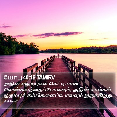 யோபு 40:18 TAMIRV Bible Verse Image