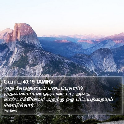 யோபு 40:19 TAMIRV Bible Verse Image