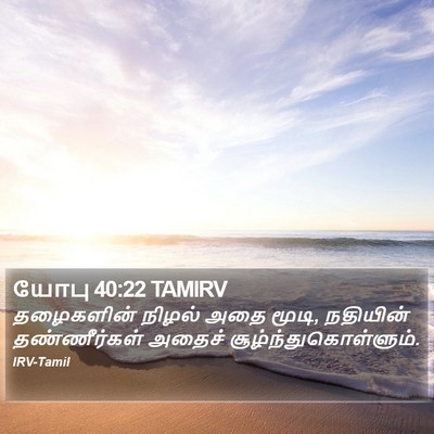 யோபு 40:22 TAMIRV Bible Verse Image
