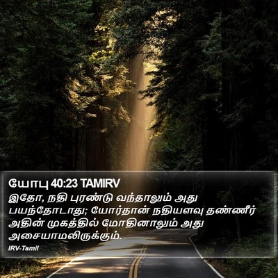 யோபு 40:23 TAMIRV Bible Verse Image