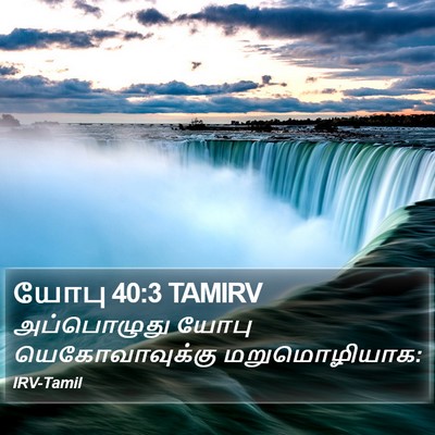 யோபு 40:3 TAMIRV Bible Verse Image