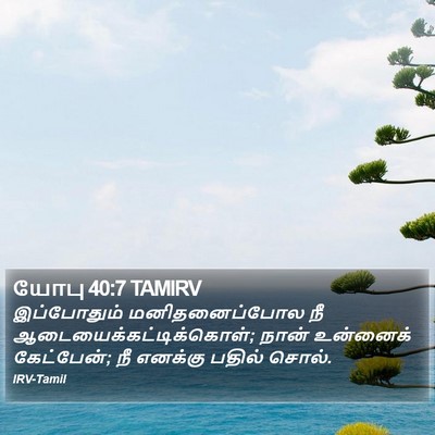 யோபு 40:7 TAMIRV Bible Verse Image