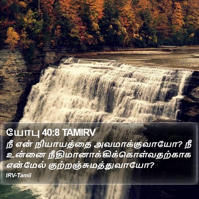 யோபு 40:8 TAMIRV Bible Verse Image