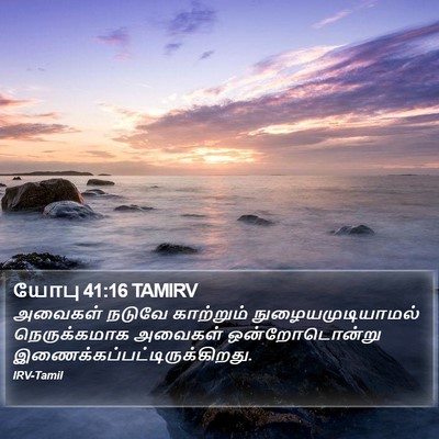 யோபு 41:16 TAMIRV Bible Verse Image