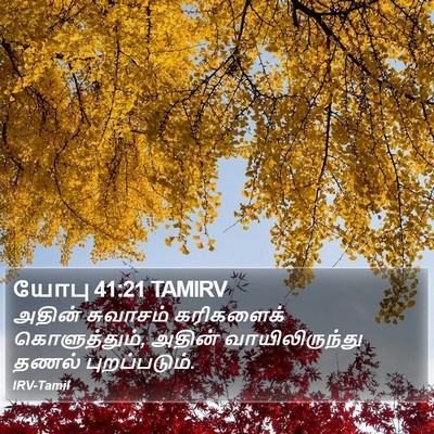 யோபு 41:21 TAMIRV Bible Verse Image