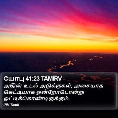 யோபு 41:23 TAMIRV Bible Verse Image
