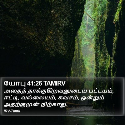 யோபு 41:26 TAMIRV Bible Verse Image