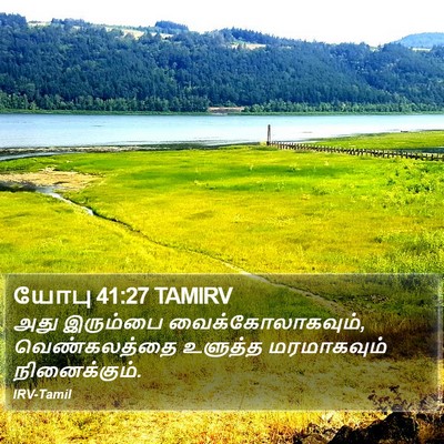 யோபு 41:27 TAMIRV Bible Verse Image