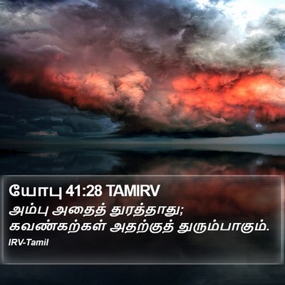 யோபு 41:28 TAMIRV Bible Verse Image