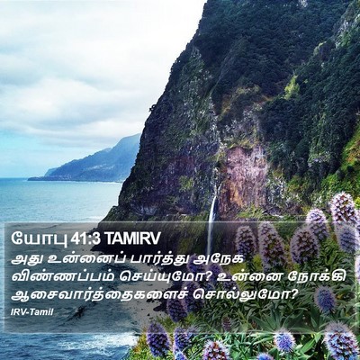 யோபு 41:3 TAMIRV Bible Verse Image