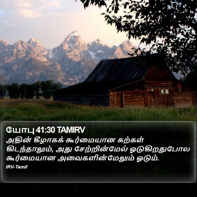 யோபு 41:30 TAMIRV Bible Verse Image