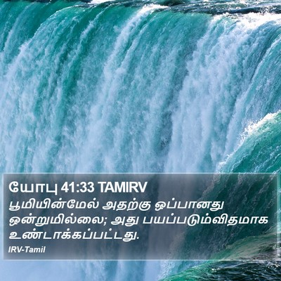 யோபு 41:33 TAMIRV Bible Verse Image