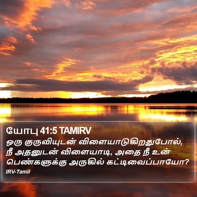 யோபு 41:5 TAMIRV Bible Verse Image