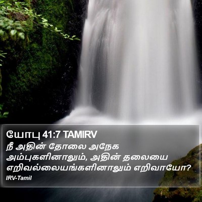 யோபு 41:7 TAMIRV Bible Verse Image