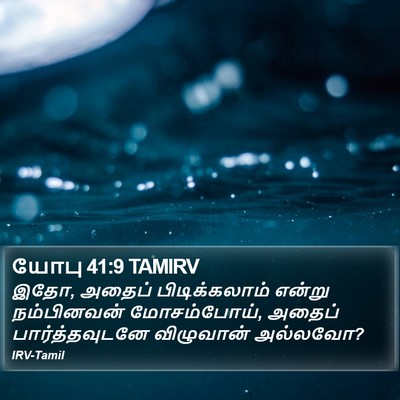 யோபு 41:9 TAMIRV Bible Verse Image