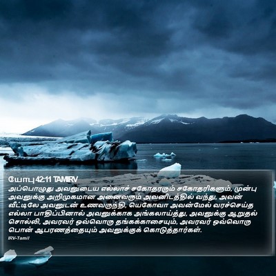 யோபு 42:11 TAMIRV Bible Verse Image