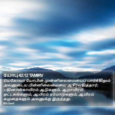 யோபு 42:12 TAMIRV Bible Verse Image