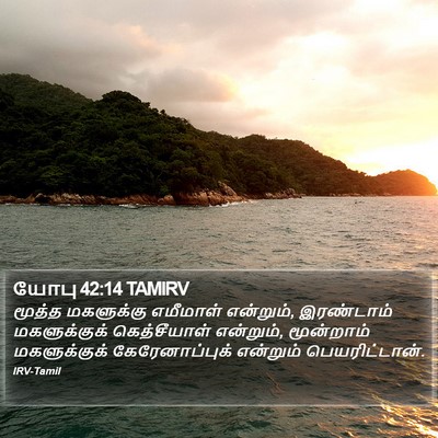 யோபு 42:14 TAMIRV Bible Verse Image