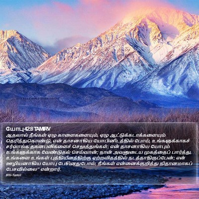 யோபு 42:8 TAMIRV Bible Verse Image