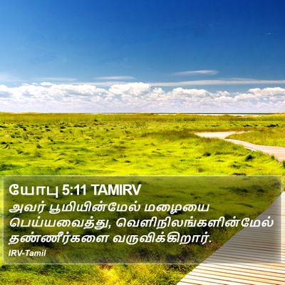 யோபு 5:11 TAMIRV Bible Verse Image