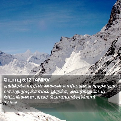 யோபு 5:12 TAMIRV Bible Verse Image