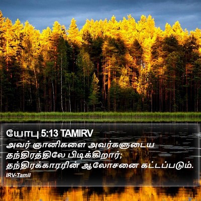 யோபு 5:13 TAMIRV Bible Verse Image