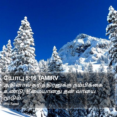 யோபு 5:16 TAMIRV Bible Verse Image