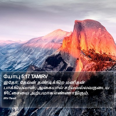 யோபு 5:17 TAMIRV Bible Verse Image