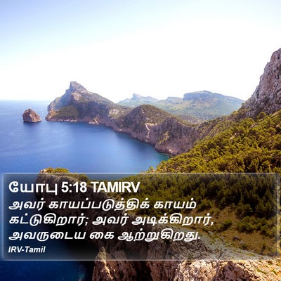 யோபு 5:18 TAMIRV Bible Verse Image