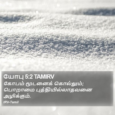 யோபு 5:2 TAMIRV Bible Verse Image
