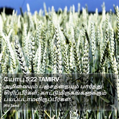 யோபு 5:22 TAMIRV Bible Verse Image