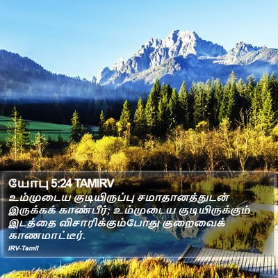 யோபு 5:24 TAMIRV Bible Verse Image