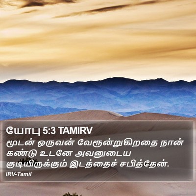 யோபு 5:3 TAMIRV Bible Verse Image