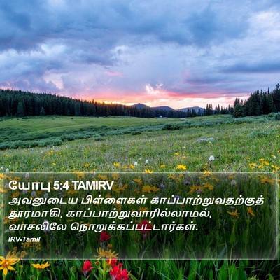 யோபு 5:4 TAMIRV Bible Verse Image