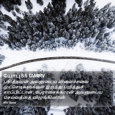 யோபு 5:5 TAMIRV Bible Verse Image