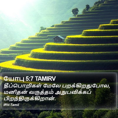 யோபு 5:7 TAMIRV Bible Verse Image