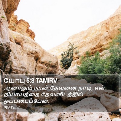யோபு 5:8 TAMIRV Bible Verse Image
