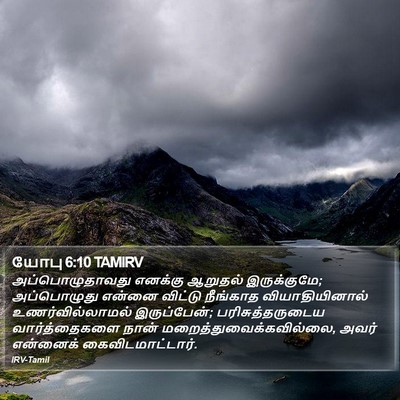 யோபு 6:10 TAMIRV Bible Verse Image