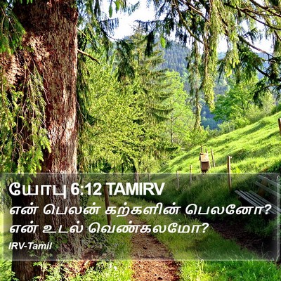 யோபு 6:12 TAMIRV Bible Verse Image