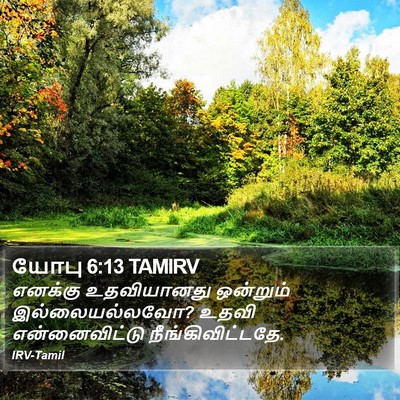 யோபு 6:13 TAMIRV Bible Verse Image
