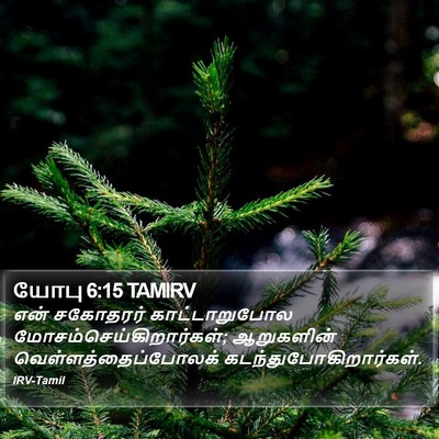 யோபு 6:15 TAMIRV Bible Verse Image