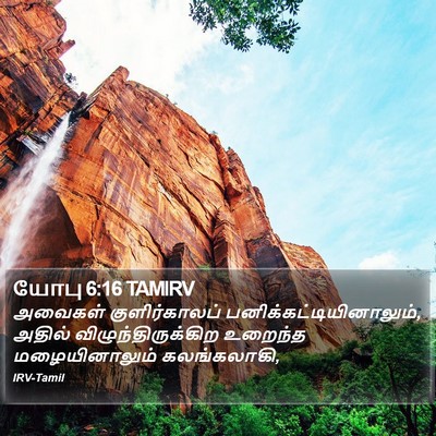 யோபு 6:16 TAMIRV Bible Verse Image