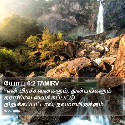 யோபு 6:2 TAMIRV Bible Verse Image