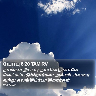 யோபு 6:20 TAMIRV Bible Verse Image